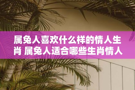 属兔人喜欢什么样的情人生肖 属兔人适合哪些生肖情人