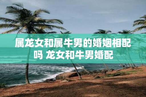 属龙女和属牛男的婚姻相配吗 龙女和牛男婚配