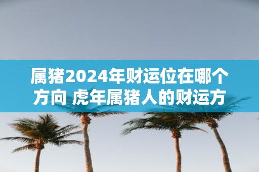 属猪2025年财运位在哪个方向 虎年属猪人的财运方向