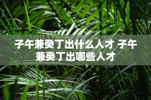 子午兼癸丁出什么人才 子午兼癸丁出哪些人才