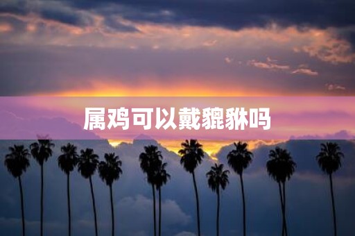 属鸡可以戴貔貅吗