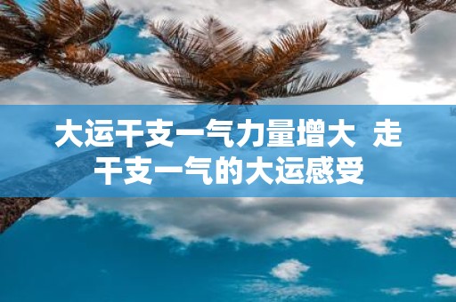 大运干支一气力量增大 走干支一气的大运感受
