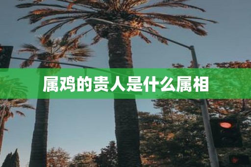 属鸡的贵人是什么属相