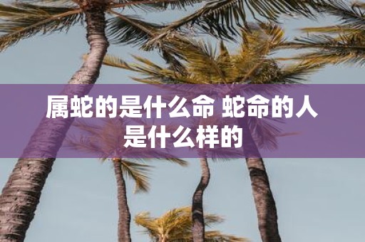 属蛇的是什么命 蛇命的人是什么样的