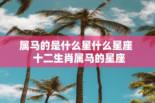 属马的是什么星什么星座 十二生肖属马的星座