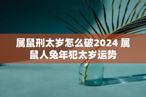 属鼠刑太岁怎么破2025 属鼠人蛇年犯太岁运势