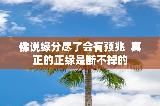 佛说缘分尽了会有预兆 真正的正缘是断不掉的