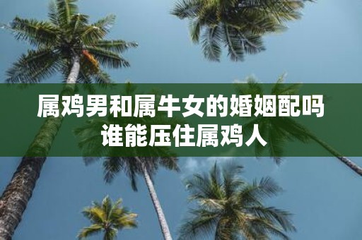 属鸡男和属牛女的婚姻配吗 谁能压住属鸡人