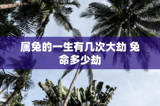属兔的一生有几次大劫 兔命多少劫 属兔的一生有几次大劫 兔命多少劫