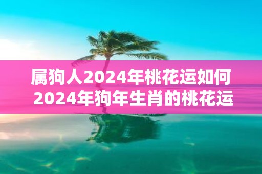属狗人2025年桃花运如何 2025年狗年生肖的桃花运如何