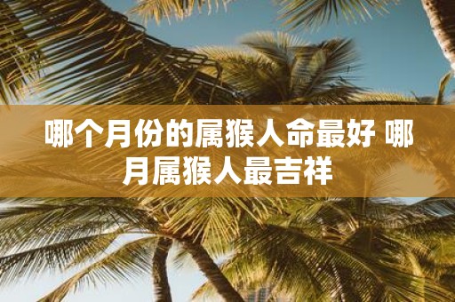 哪个月份的属猴人命最好 哪月属猴人最吉祥
