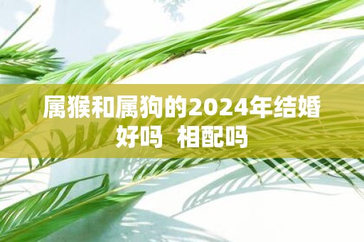 属猴和属狗的2025年结婚好吗 相配吗