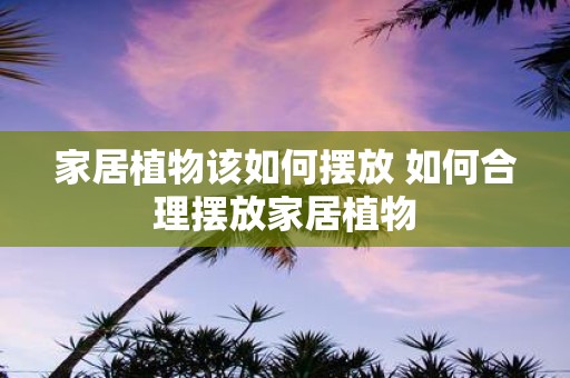 家居植物该如何摆放 如何合理摆放家居植物