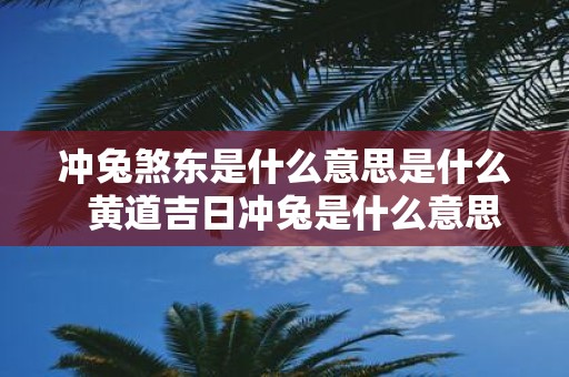 冲兔煞东是什么意思是什么 黄道吉日冲兔是什么意思