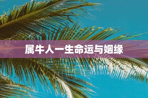属牛人一生命运与姻缘