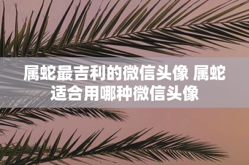 属蛇最吉利的微信头像 属蛇适合用哪种微信头像