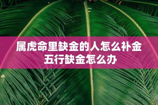 属虎命里缺金的人怎么补金 五行缺金怎么办