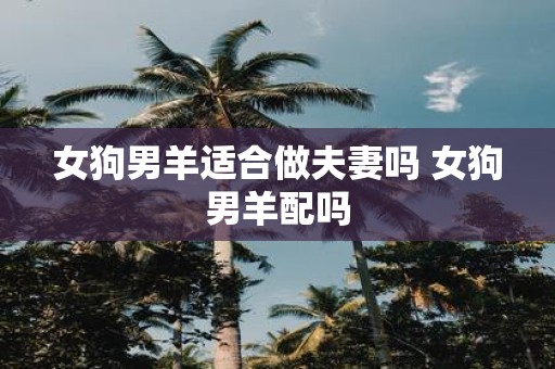 女狗男羊适合做夫妻吗 女狗男羊配吗