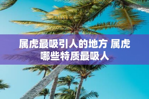 属虎最吸引人的地方 属虎哪些特质最吸人