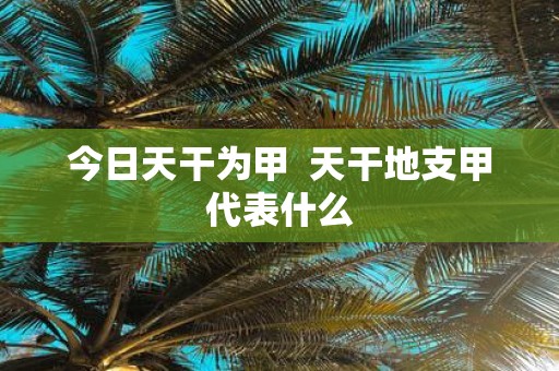 今日天干为甲 天干地支甲代表什么