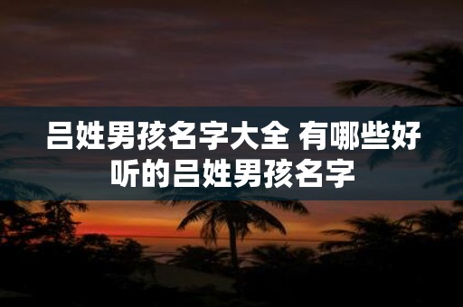 吕姓男孩名字大全 有哪些好听的吕姓男孩名字