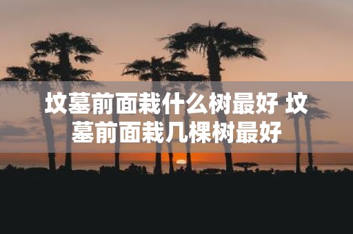 坟墓前面栽什么树最好 坟墓前面栽几棵树最好