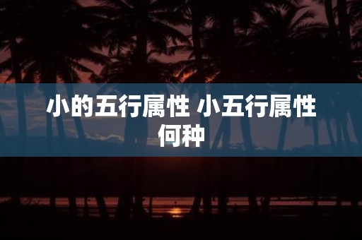 小的五行属性 小五行属性何种