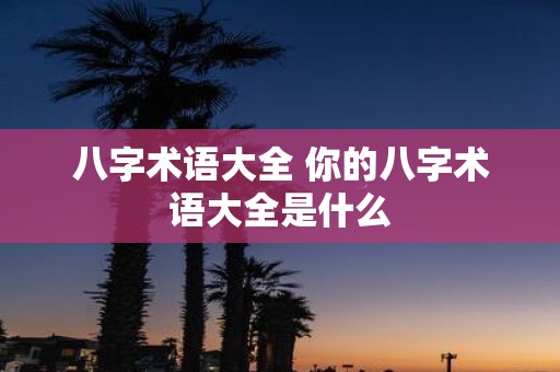 八字术语大全 你的八字术语大全是什么