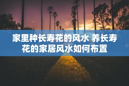 家里种长寿花的风水 养长寿花的家居风水如何布置
