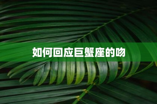 如何回应巨蟹座的吻