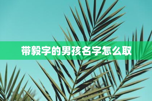 带毅字的男孩名字怎么取