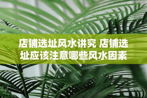 店铺选址风水讲究 店铺选址应该注意哪些风水因素