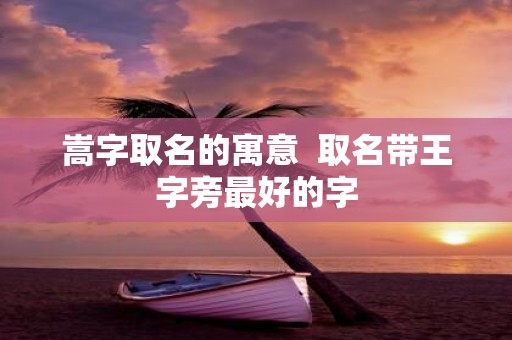 嵩字取名的寓意 取名带王字旁最好的字