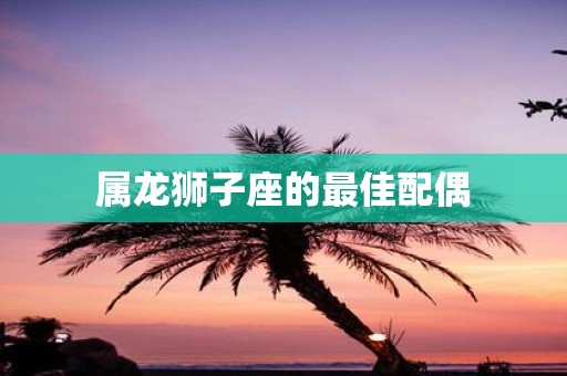 属龙狮子座的最佳配偶
