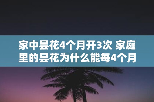 家中昙花4个月开3次 家庭里的昙花为什么能每4个月开3次