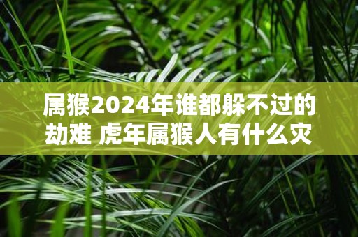 属猴2025年谁都躲不过的劫难 虎年属猴人有什么灾祸
