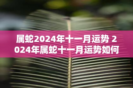 属蛇2025年十一月运势 2025年属蛇十一月运势如何