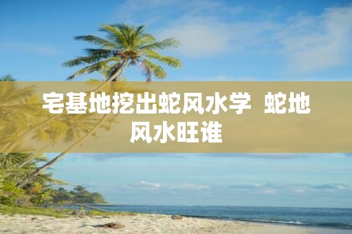 宅基地挖出蛇风水学 蛇地风水旺谁