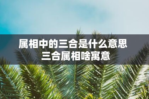 属相中的三合是什么意思 三合属相啥寓意