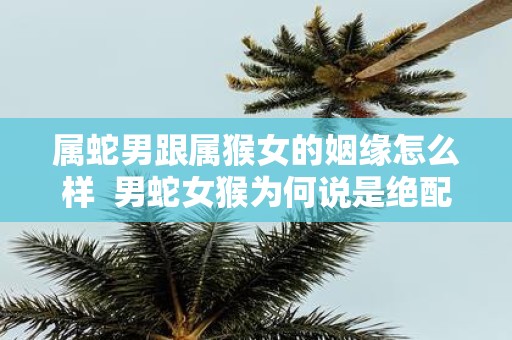 属蛇男跟属猴女的姻缘怎么样 男蛇女猴为何说是绝配