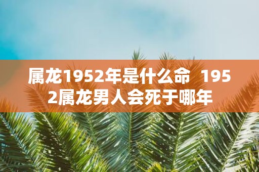 属龙1952年是什么命 1952属龙男人会死于哪年