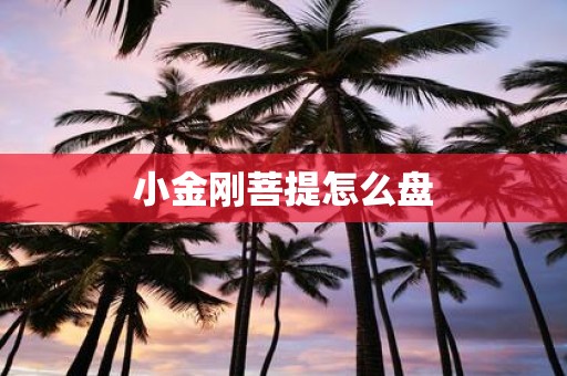 小金刚菩提怎么盘