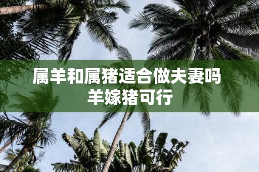 属羊和属猪适合做夫妻吗 羊嫁猪可行