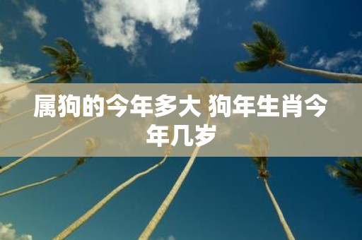 属狗的今年多大 狗年生肖今年几岁