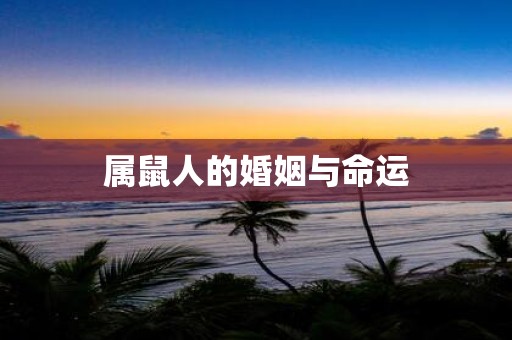 属鼠人的婚姻与命运