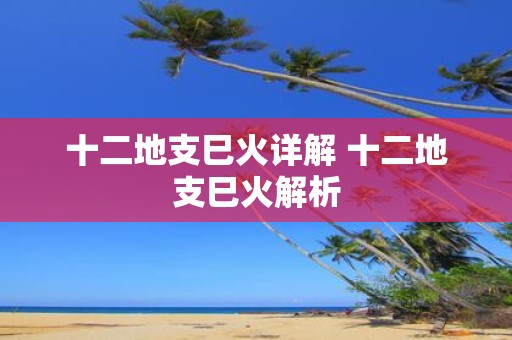 十二地支巳火详解 十二地支巳火解析