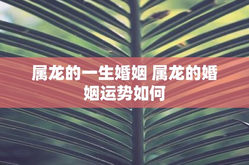 属龙的一生婚姻 属龙的婚姻运势如何