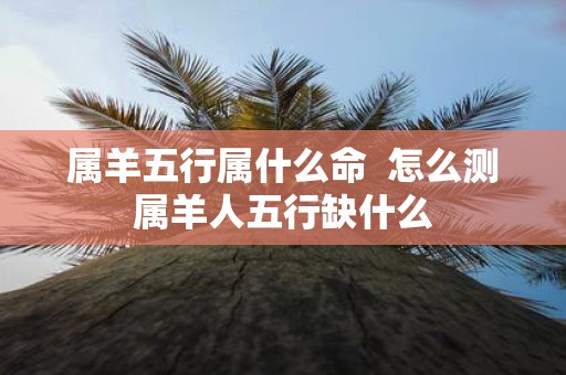 属羊五行属什么命 怎么测属羊人五行缺什么