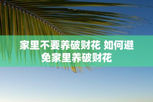 家里不要养破财花 如何避免家里养破财花