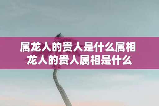 属龙人的贵人是什么属相 龙人的贵人属相是什么